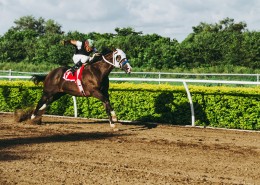 骑着马的人物图片