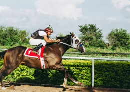 骑马的男士图片