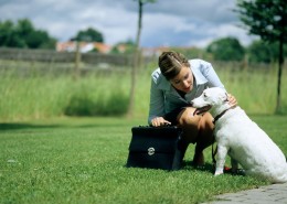 和宠物草地玩耍图片