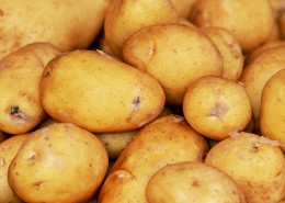 成堆的新鲜土豆图片