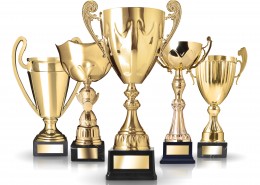 各种各样的奖杯图片大全