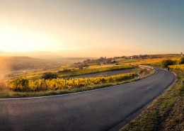 唯美的公路图片