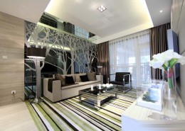 中海样板间图片