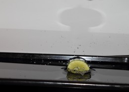 柑橘入水飞溅的水花背景图片