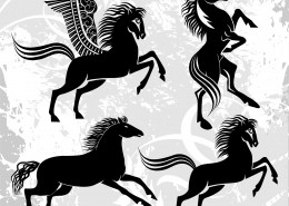 马的剪影与插画图片