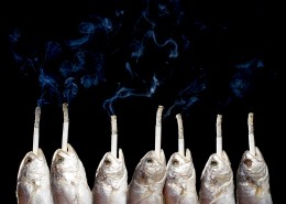 生活创意情景图片