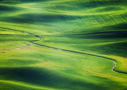 宽广的草地图片