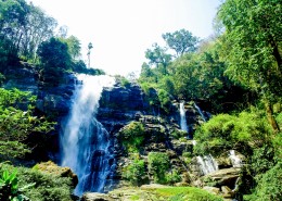 森林里的瀑布图片