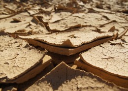 干裂的土地图片