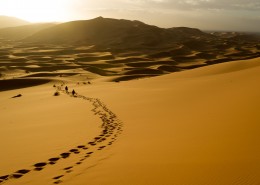 大漠里的风光图片