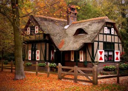 唯美秋天景色图片