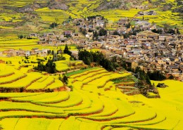 山村的田野风景图片