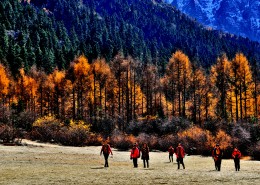 风景美如画的四川川西自然风光图片
