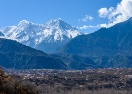 西藏林芝巍峨雪山风景图片