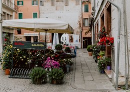 意大利的花店图片