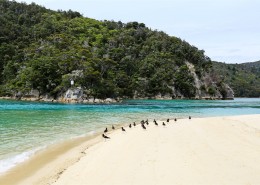 新西兰阿贝尔·塔斯曼国家公园风景图片