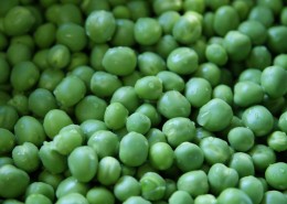 圆圆的豌豆图片