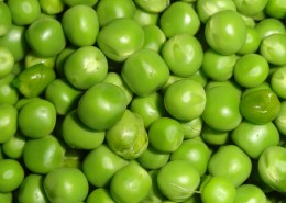 绿色的豌豆图片