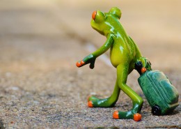 可爱的青蛙玩具图片