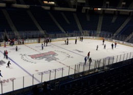 冰上曲棍球比赛现场图片