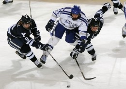 曲棍球运动图片