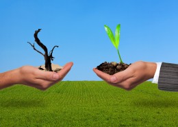 保护环境关爱地球设计素材图片