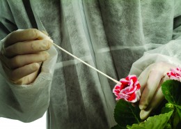 生物科技研究图片