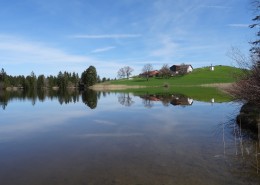 平静的湖面风景图片