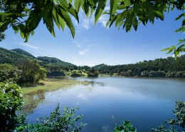 风景秀丽的湖泊图片