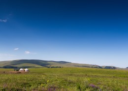 一望无际的绿色草原图片