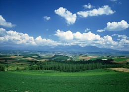 蓝天白云田地图片